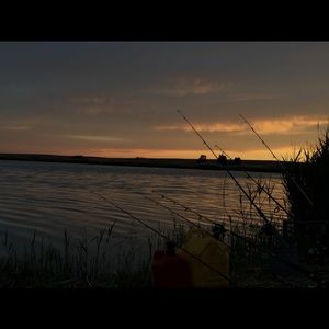 Meet your Posher, Kylie